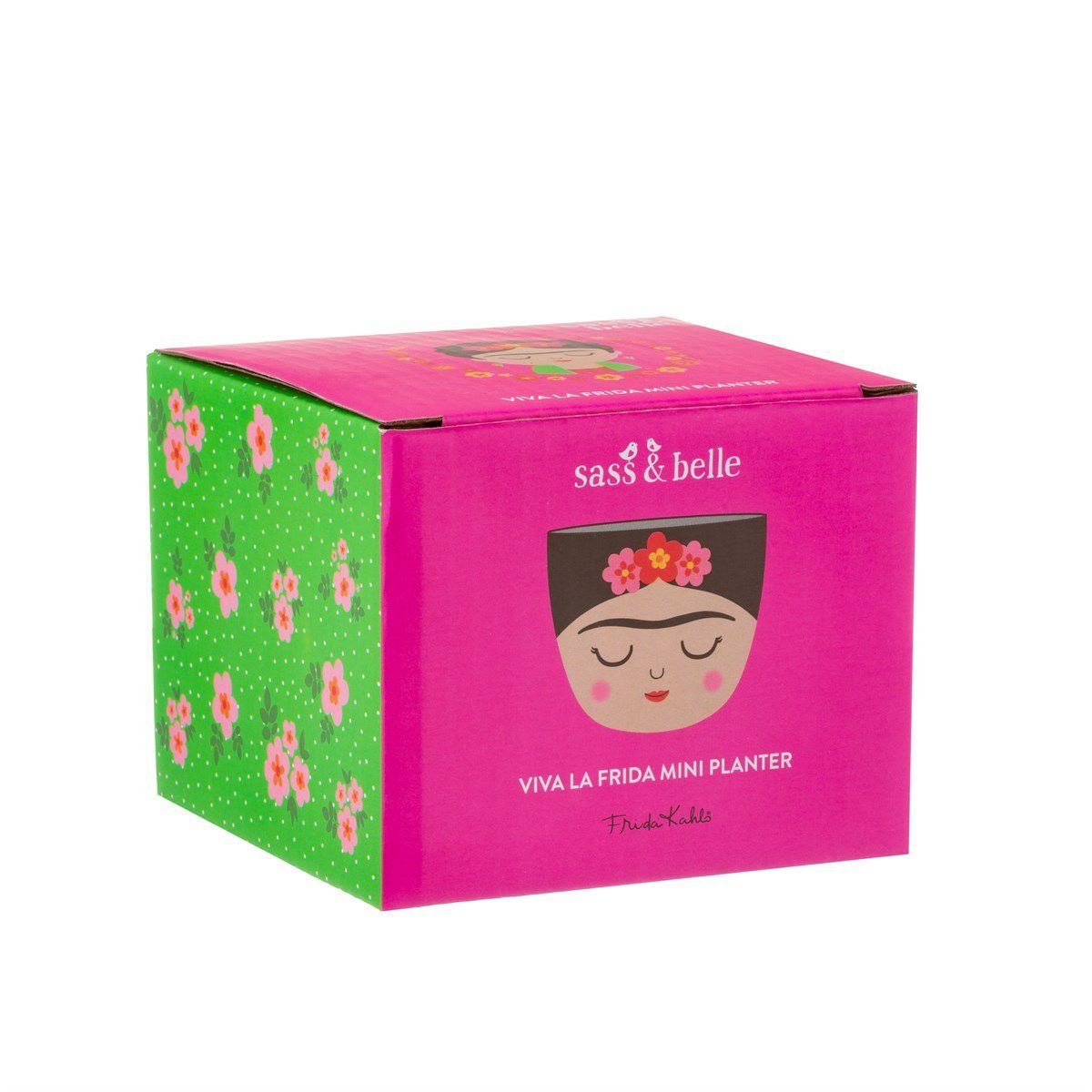 Mini Frida Kahlo Blumentopf farbig