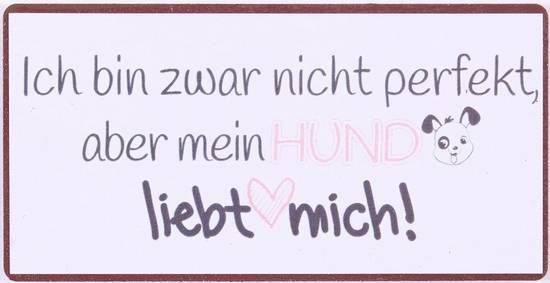 Blechschild-Magnet Mein Hund liebt mich