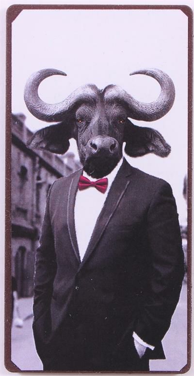 Blechschild-Magnet Animal Head Stier