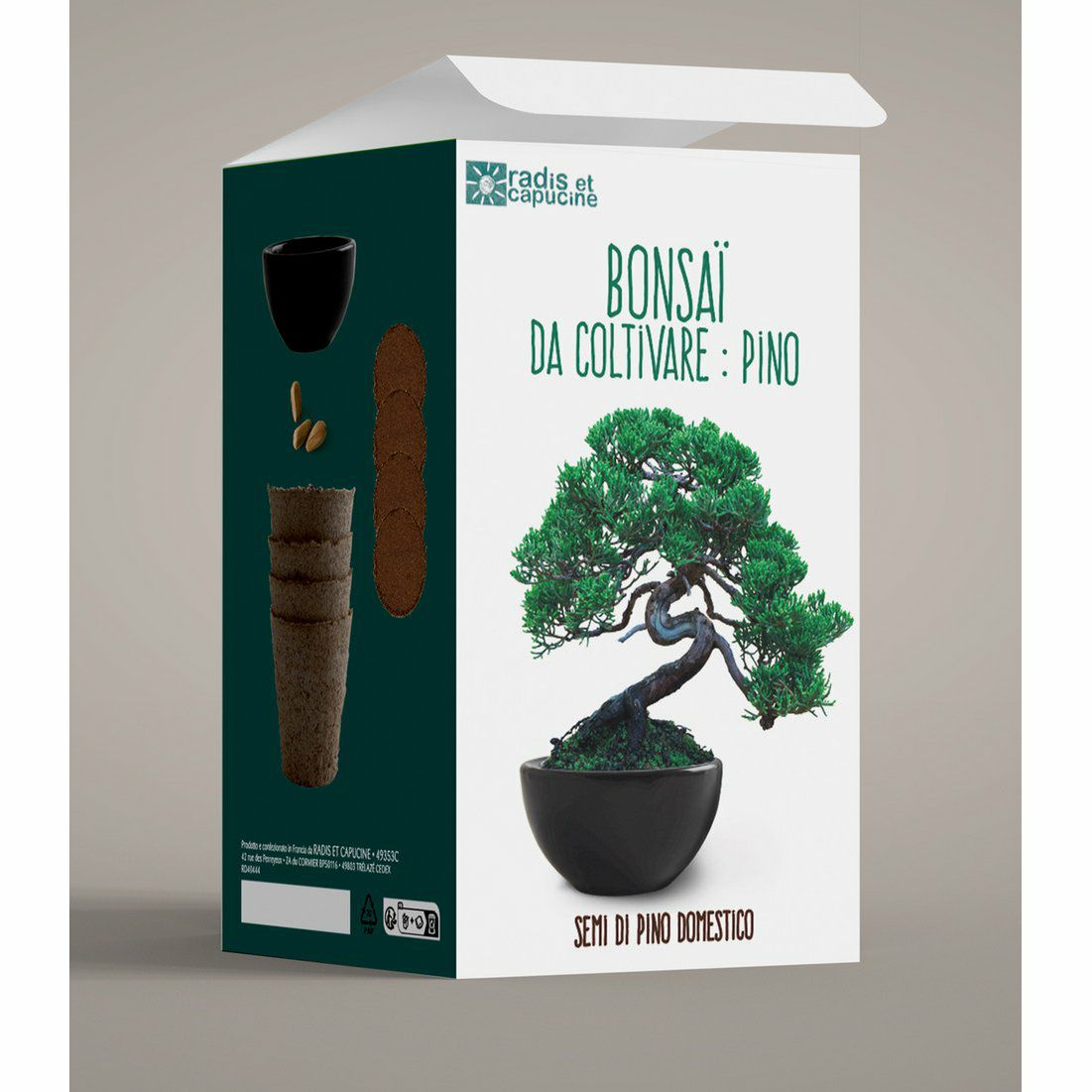 DIY Set Bonsai