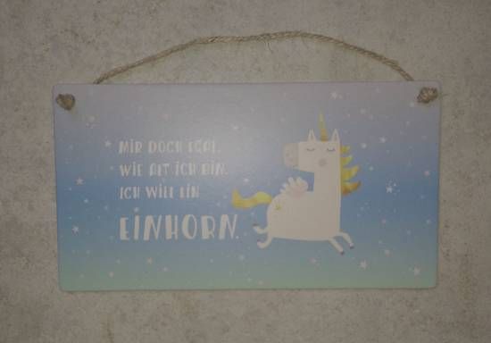 Cardboard Ich will ein Einhorn