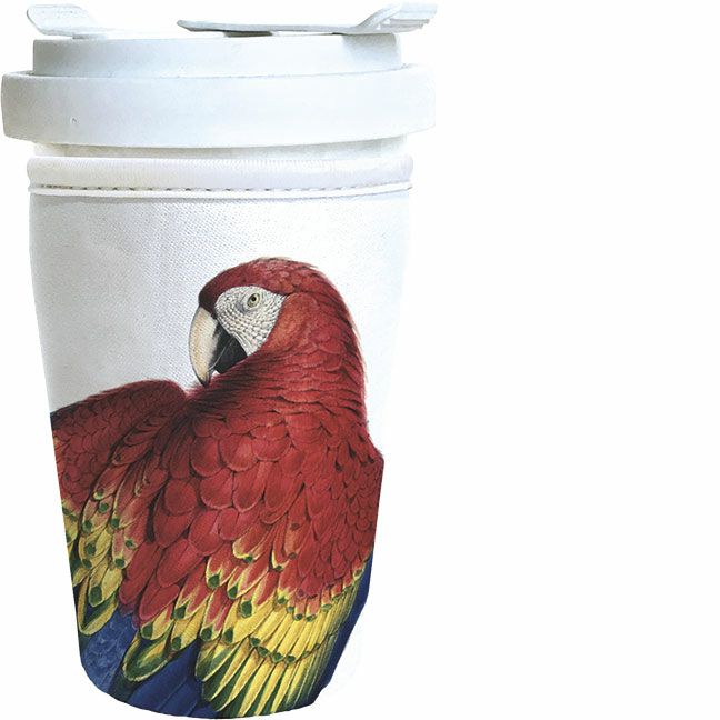 Coffee-to-go Neu Gelbflügelara