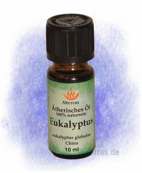 Eukalyptus