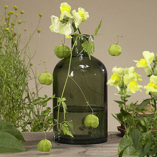 Glasflasche Retro olivgrün groß