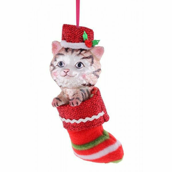 Katze im Strumpf