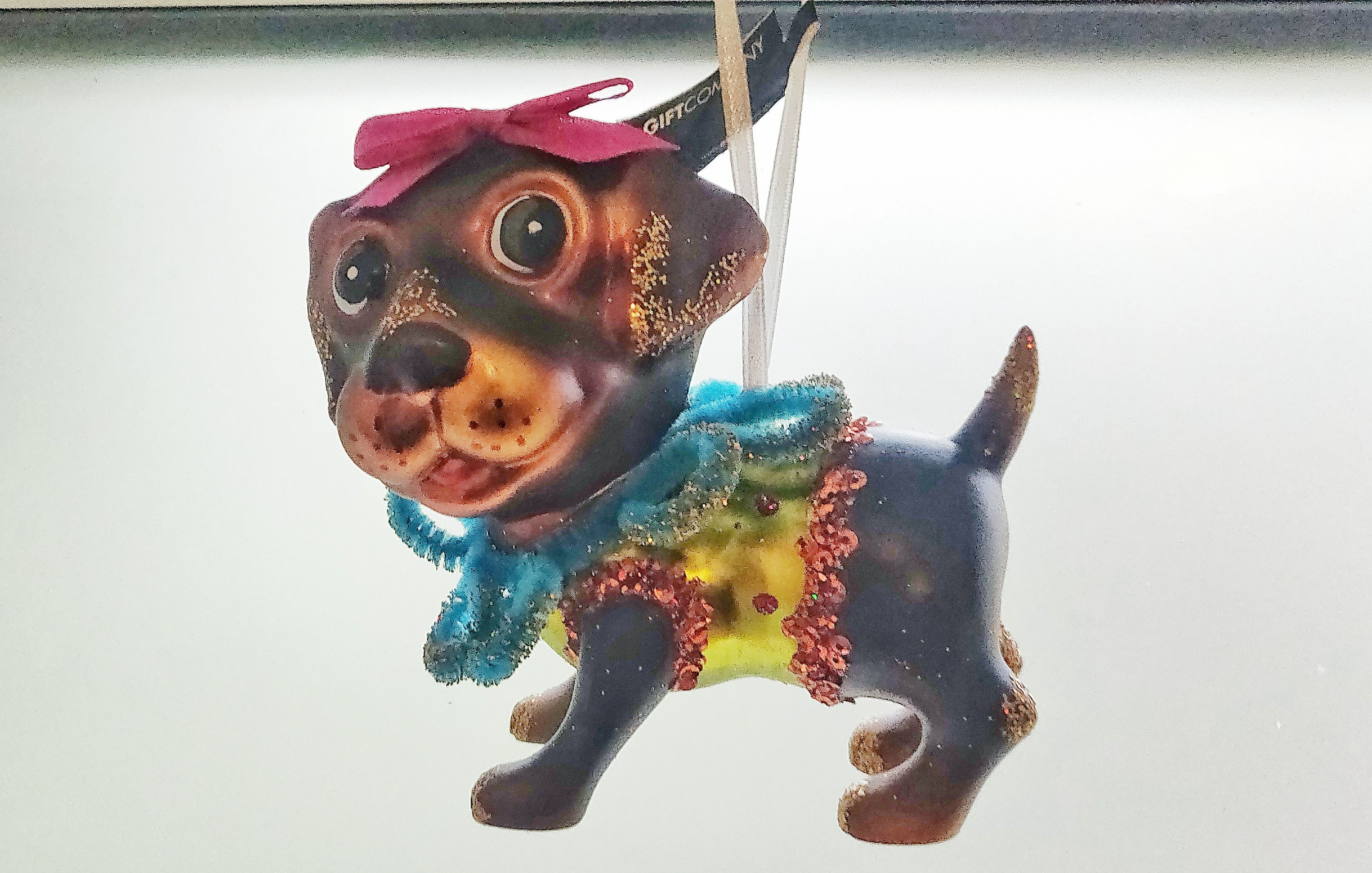 Hänger Labrador mit pinker Schleife