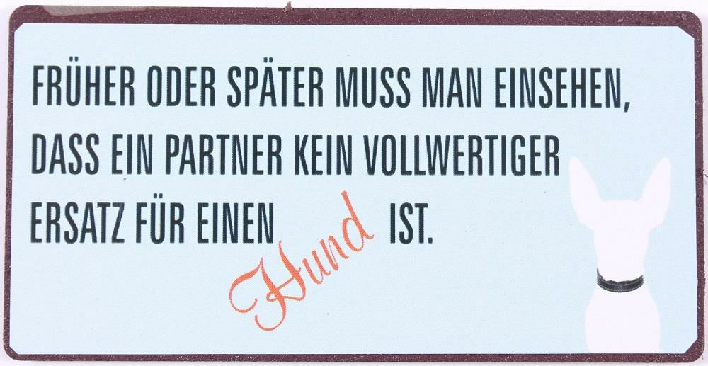 Blechschild-Magnet Kein Ersatz für einen Hund