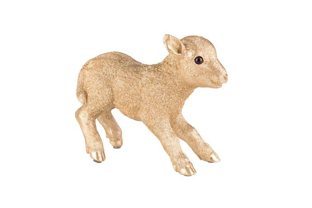 Lamm goldfarben