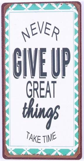 Blechschild-Magnet  Never Give Up
