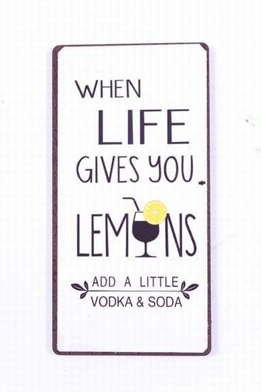 Blechschild-Magnet When live gives you Lemons
