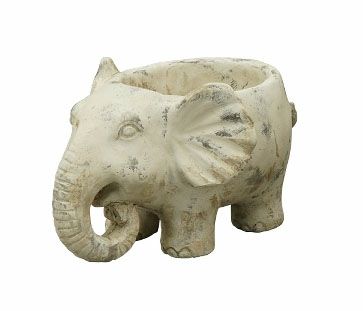 PflanzElefant Valo
