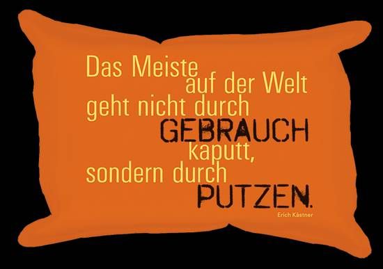 Scheibenschwamm Das Meiste auf der Welt