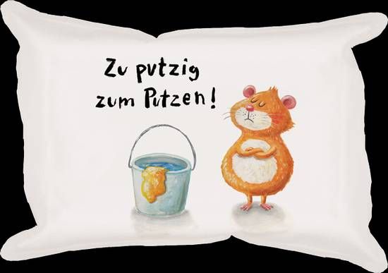 Scheibenschwamm zu putzig