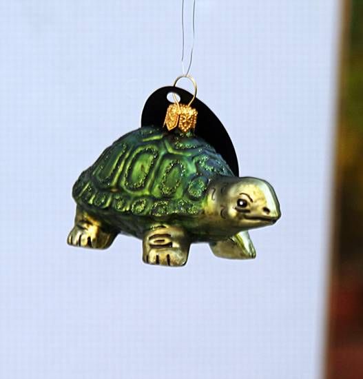 Glashänger Schildkröte