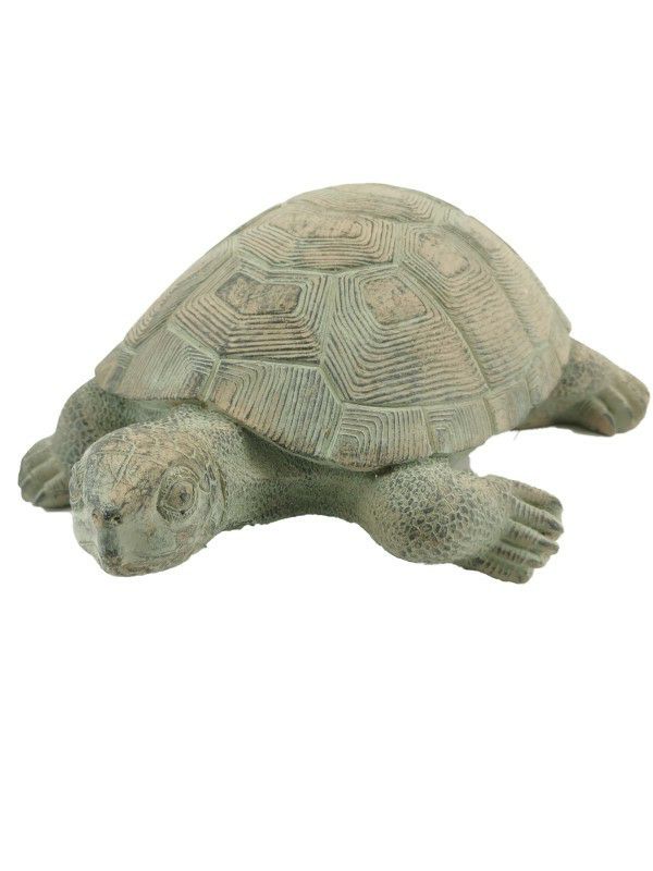 Schildkröte Zementguss groß 
