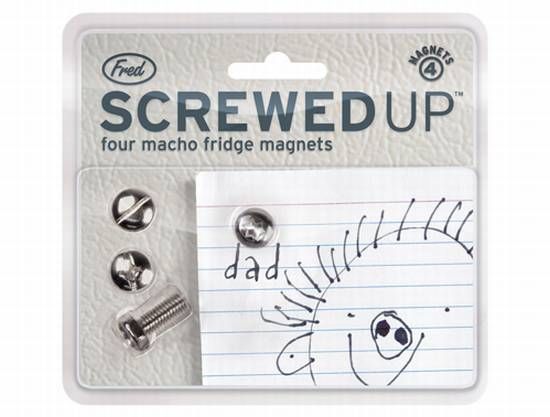 Magnetset Schrauben