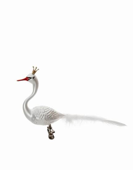 Schwan mit Krone