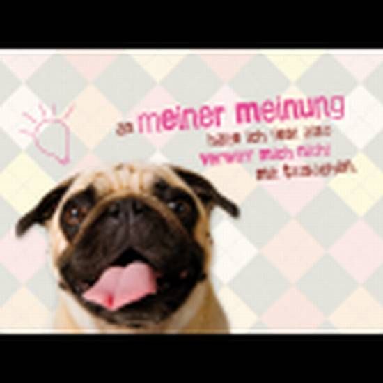 Spiralbuch Mops vergnügt