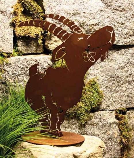 Steinbock Rost