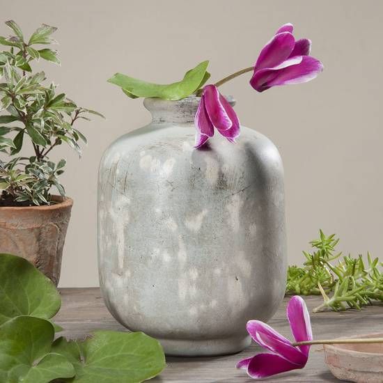 Vase Malus