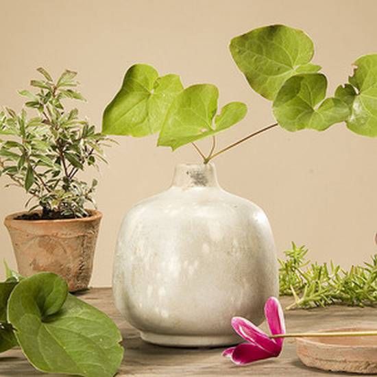Vase Malus bauchig