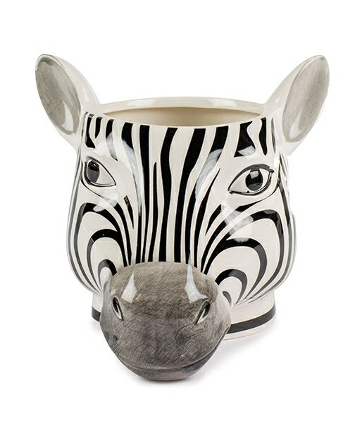 Vase/Topf Zebrakopf