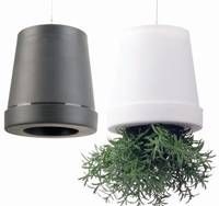 Blumentopf Sky Planter sortiert L