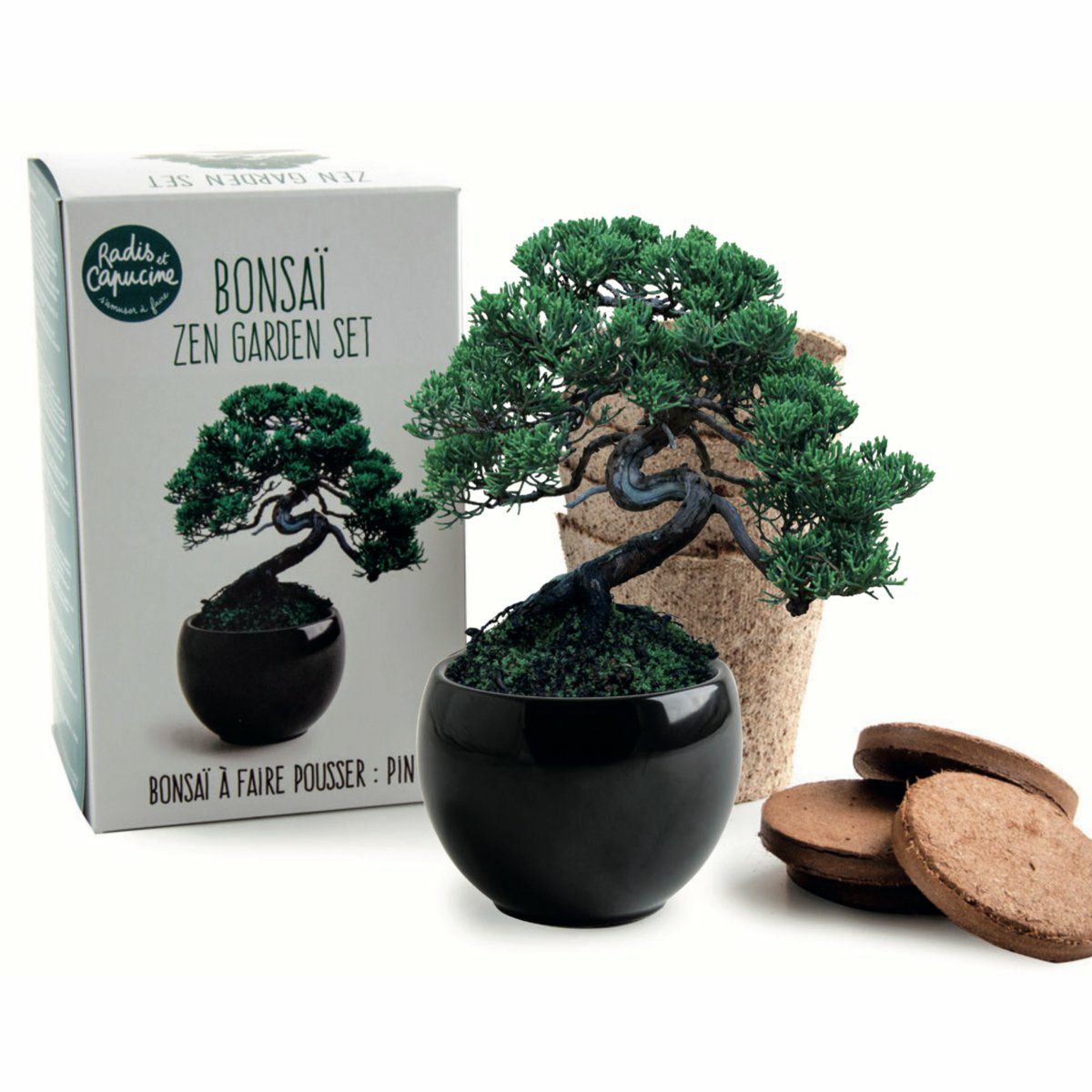 DIY Set Bonsai