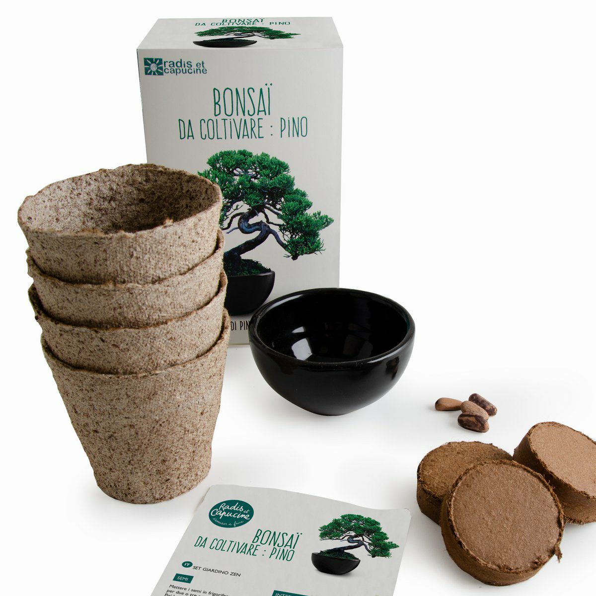 DIY Set Bonsai