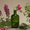 Glasflasche Retro, flaschengrün dunkel