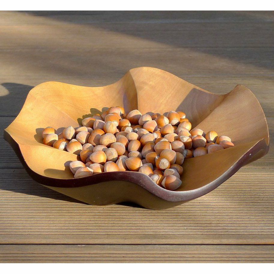 Holzschale Lotus Leaf choco