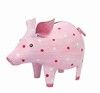 Sparschwein Mini gepunktet