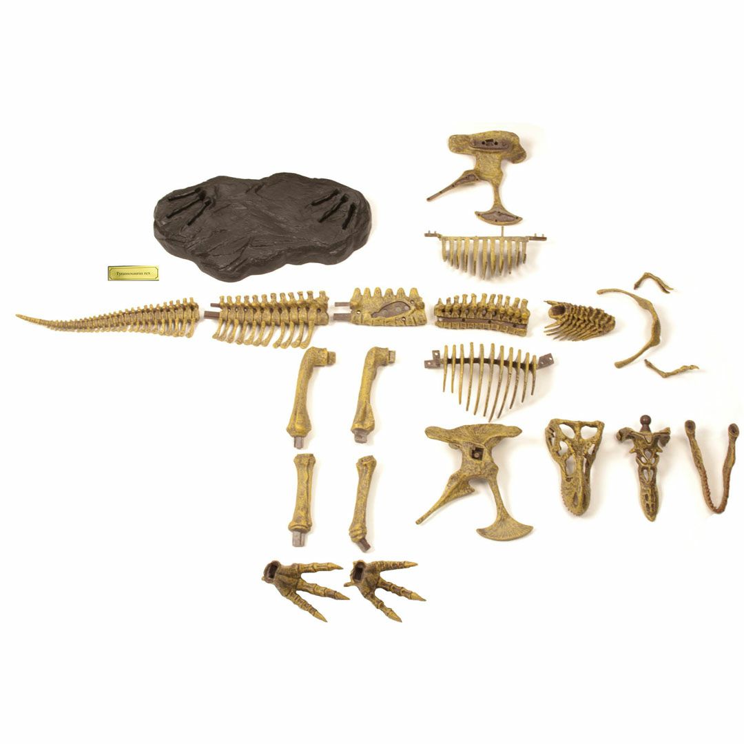 Jurassic Hunters - T-Rex Paleo Exped