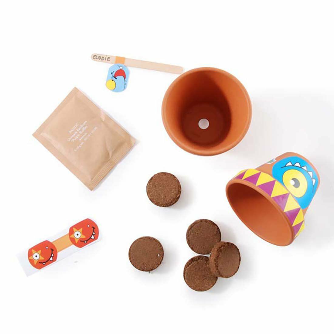 Geburtstagsbox 10 kleine Monstertöpfe