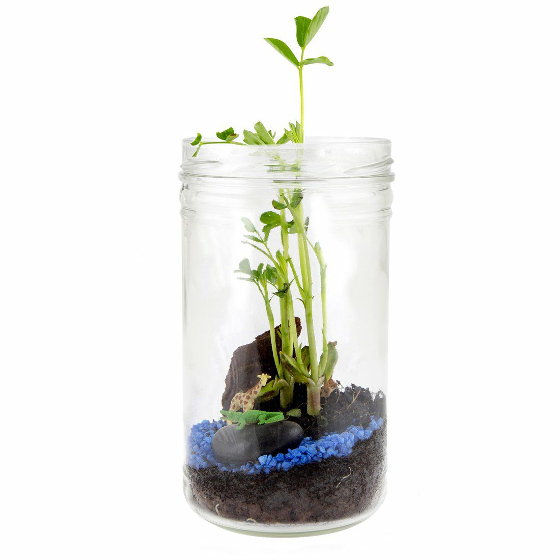 Savannen-Terrarium