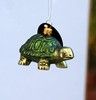 Glashänger Schildkröte