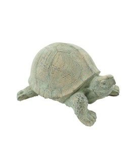 Schildkröte Tilly