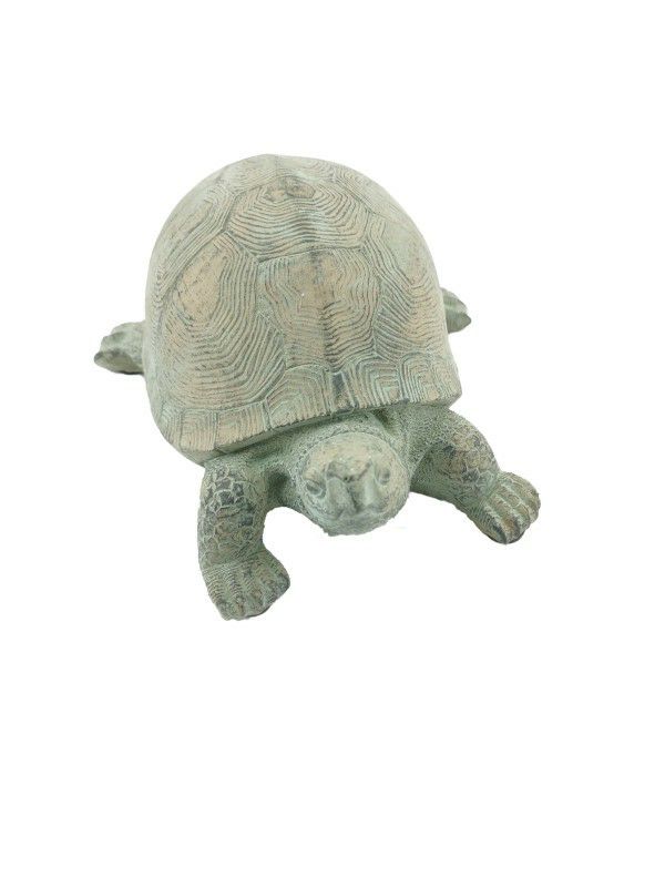Schildkröte Tilly