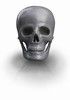 Skull Caps