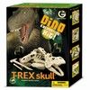 T-Rex Skull