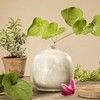 Vase Malus bauchig